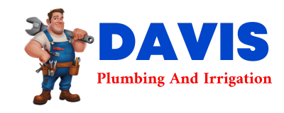 Trusted plumber in LAND O LAKES